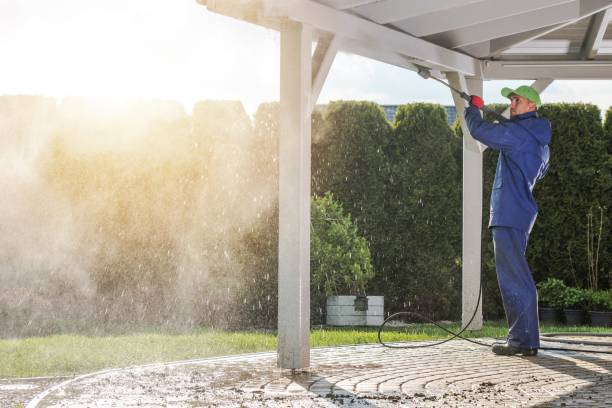 Best Dumpster Area Cleaning  in Bevil Oaks, TX