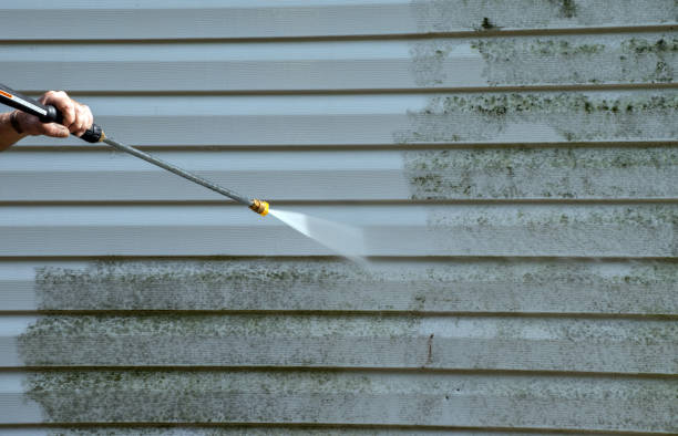 Best Fence Cleaning  in Bevil Oaks, TX
